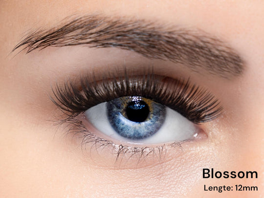 BLOSSOM - Lashes black 12mm